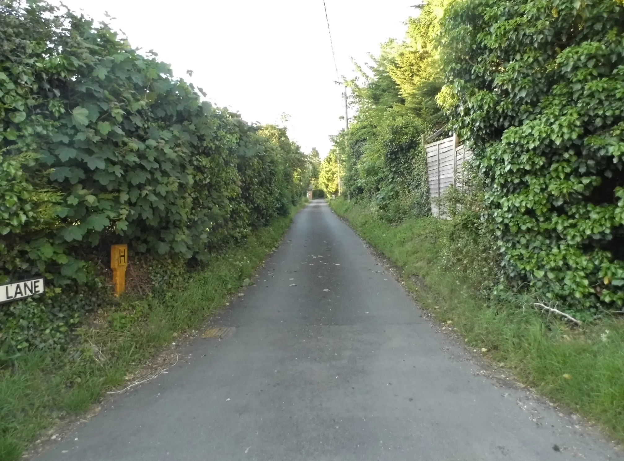 Photo showing: Sheppey Lane, Hackleton