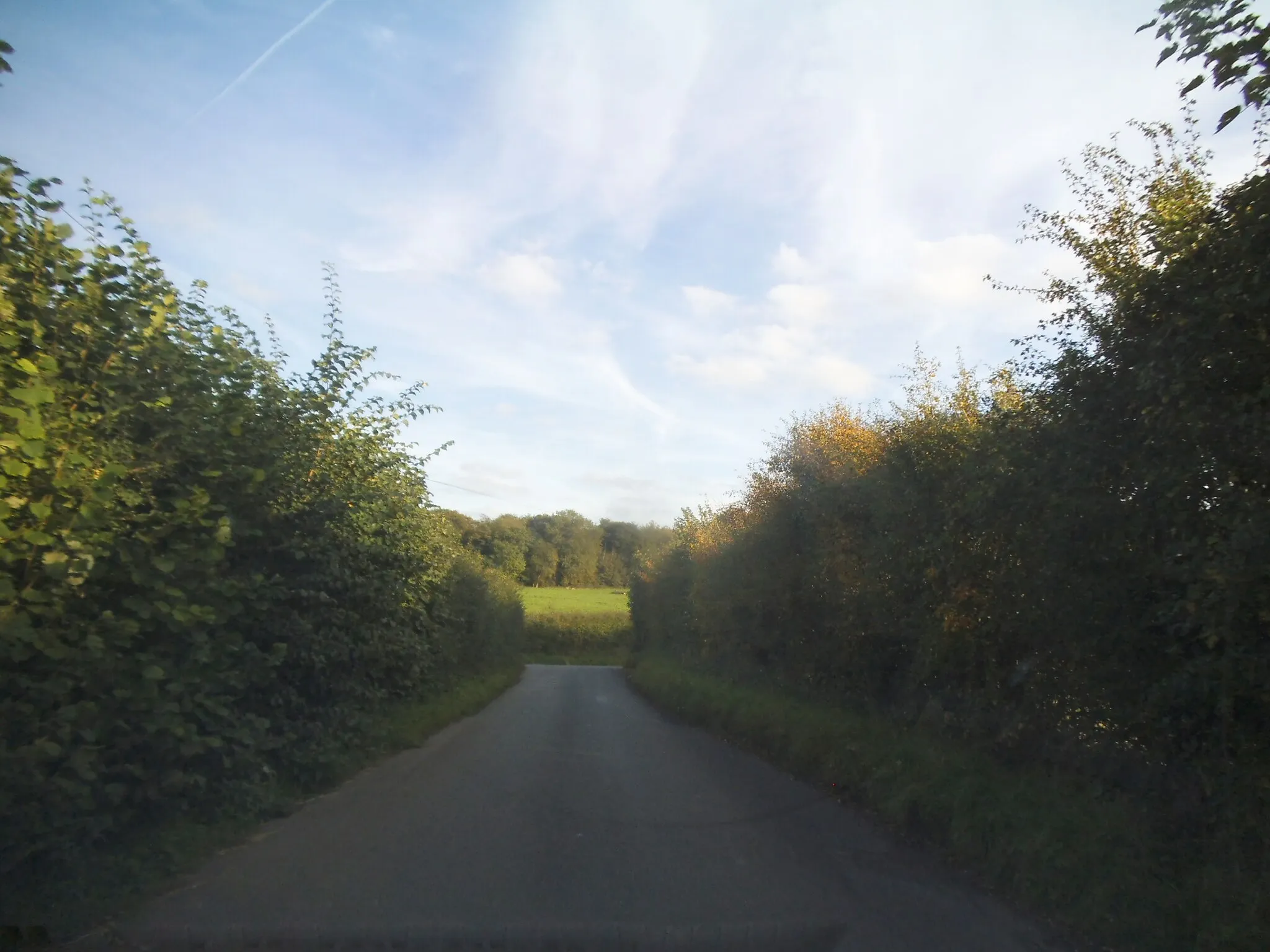 Photo showing: Back Lane, Graveley