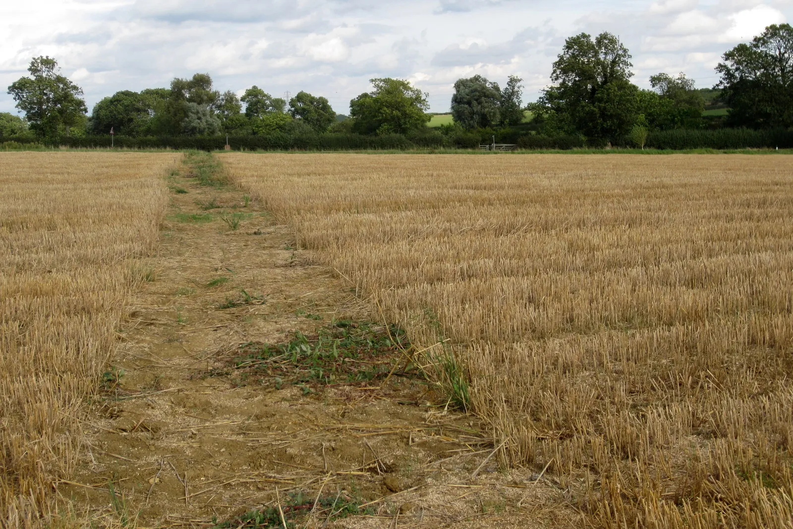 Photo showing: Bridleway to Crabtree Farm