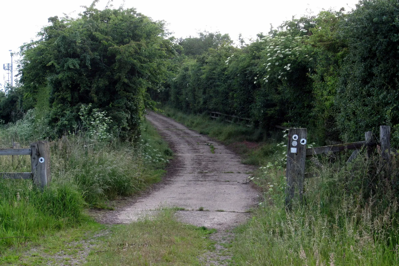 Photo showing: Bridleway going over the M1