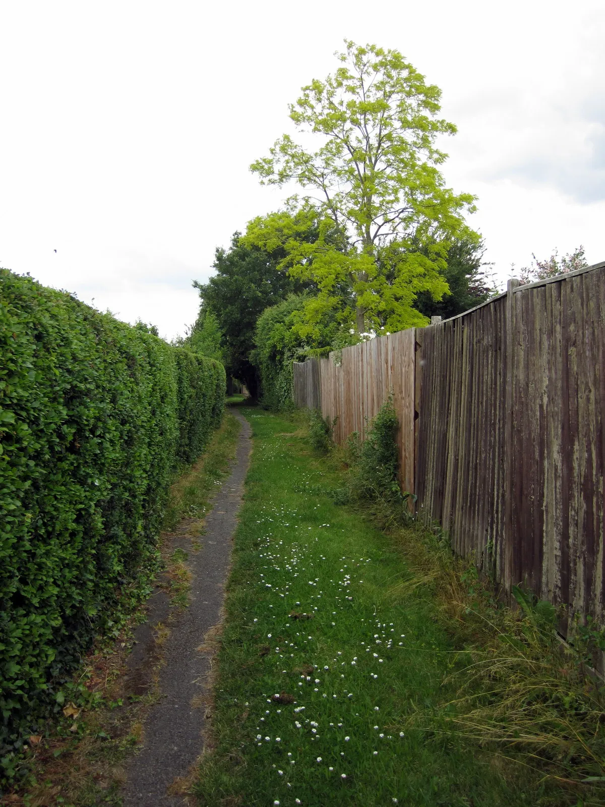 Photo showing: Footpath to Little Crawley