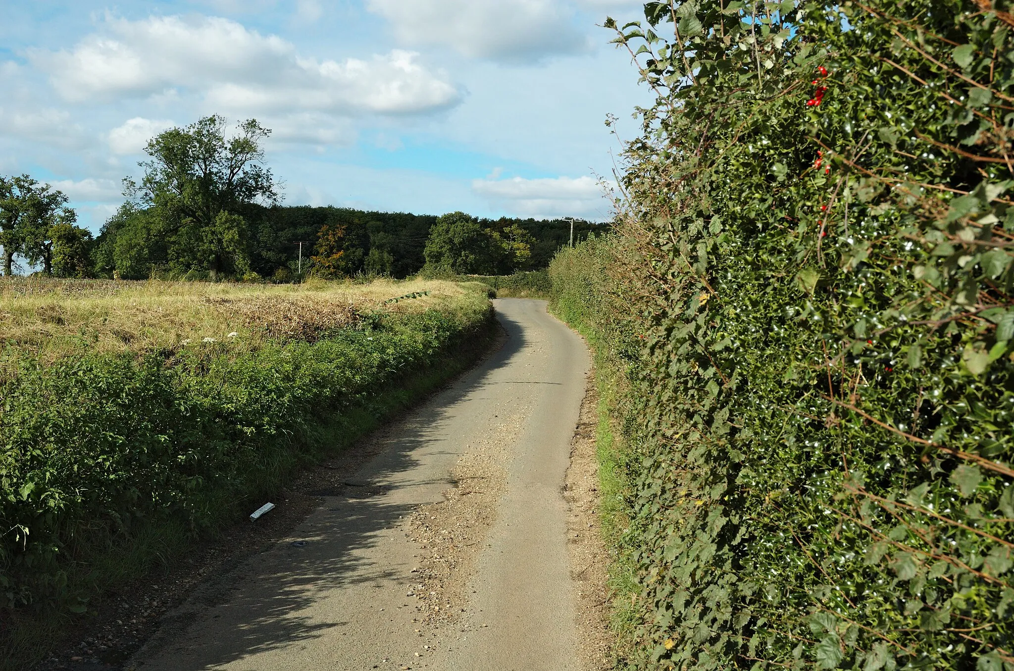 Photo showing: Appspond Lane near St Albans, Hertfordshire.
