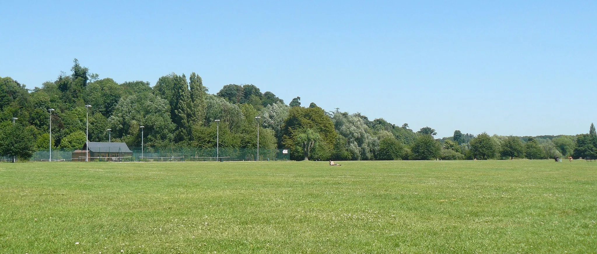 Photo showing: Hartham Common, July 08