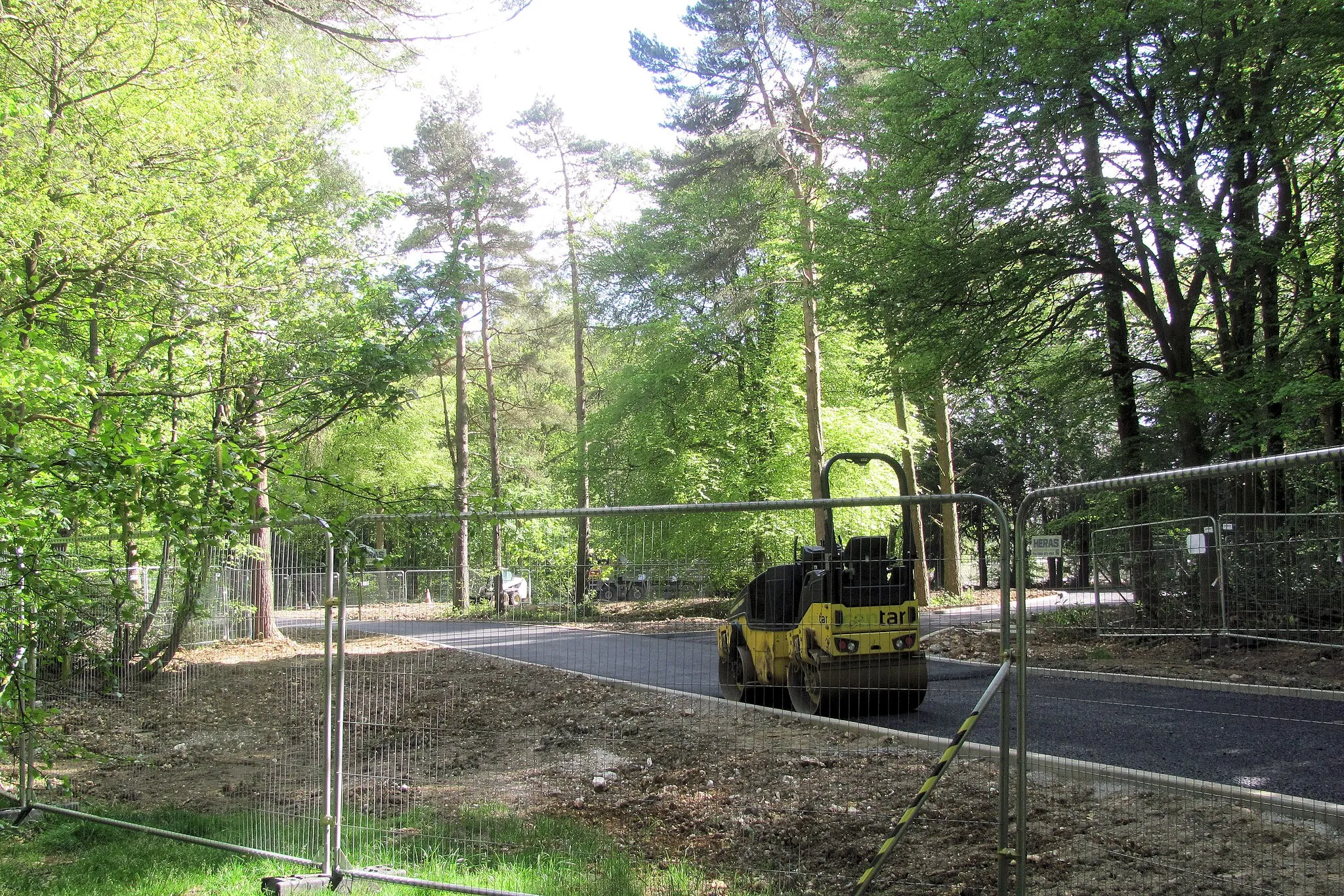 Photo showing: A Junction in the New Road in Wendover Woods
