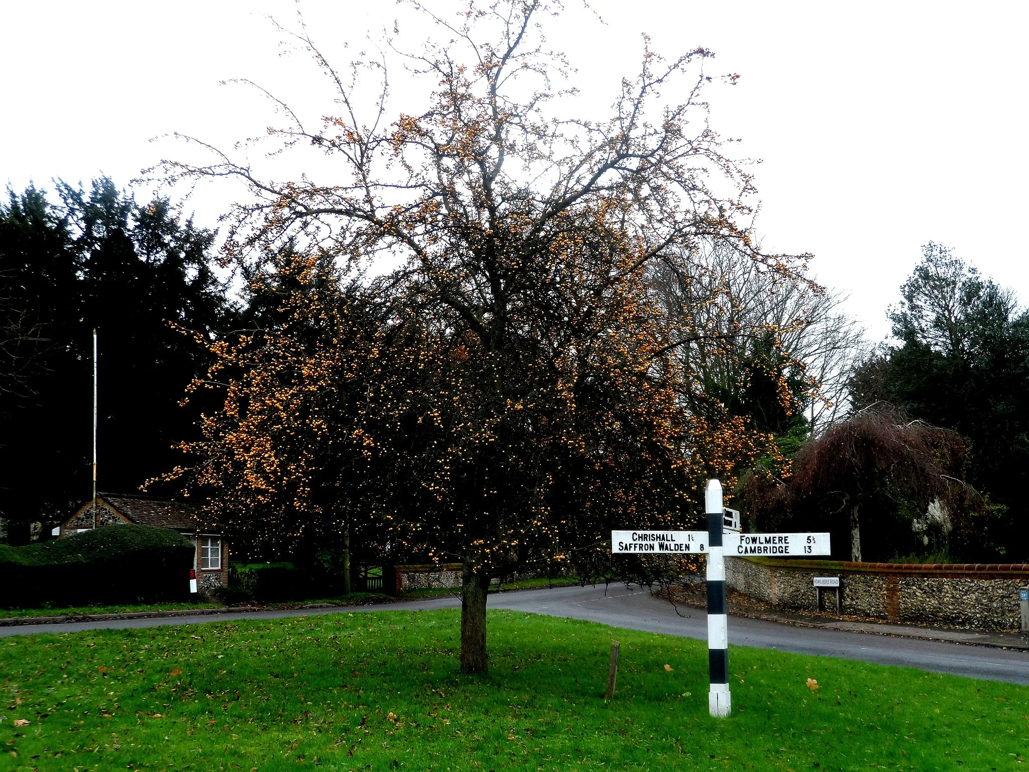 Photo showing: Sign post and tree with orange-coloured hips, Heydon