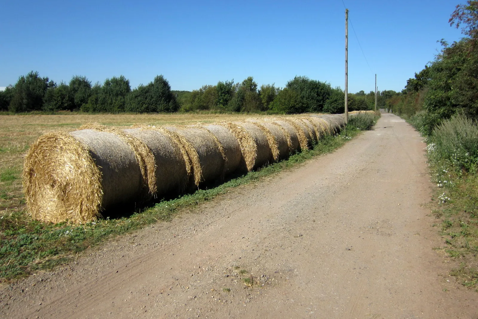 Photo showing: Bales by the track to Brogborough