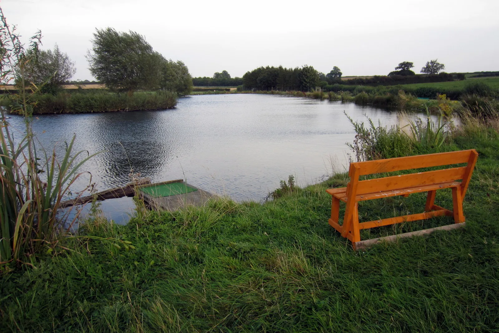 Photo showing: Bench with a view of the lake