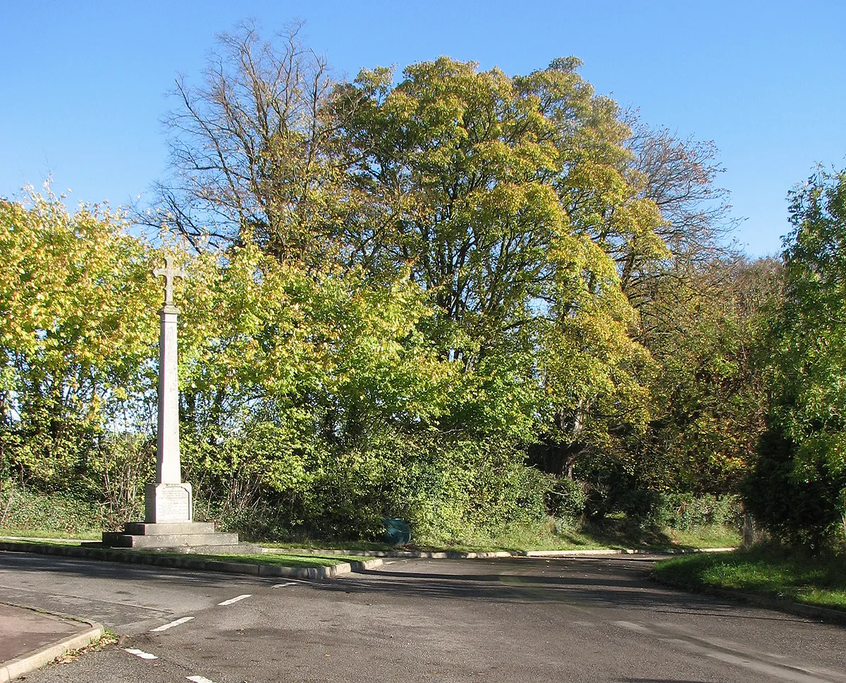 Photo showing: Croydon War Memorial on Remembrance Sunday