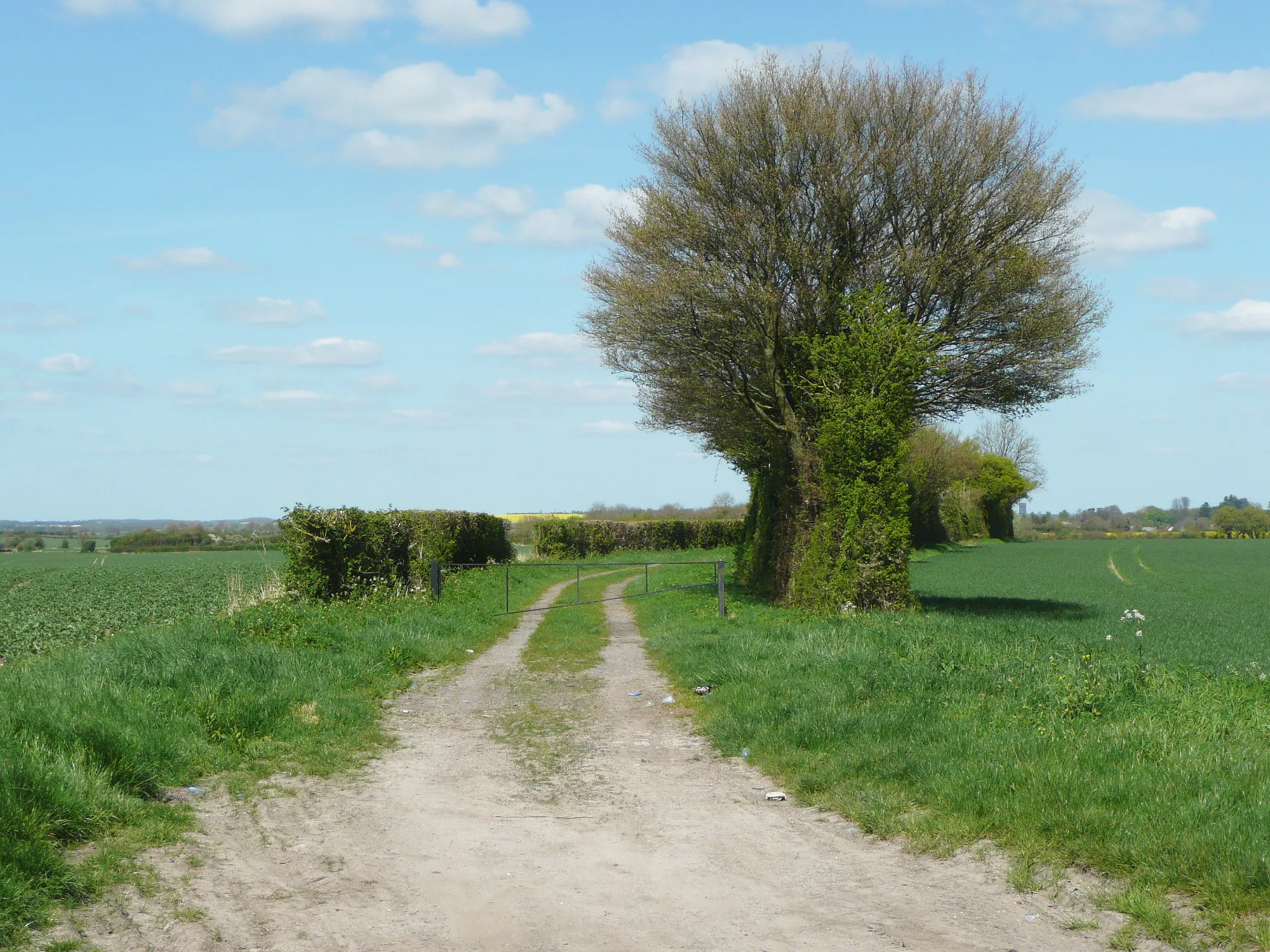 Photo showing: Common Lane, Hexton