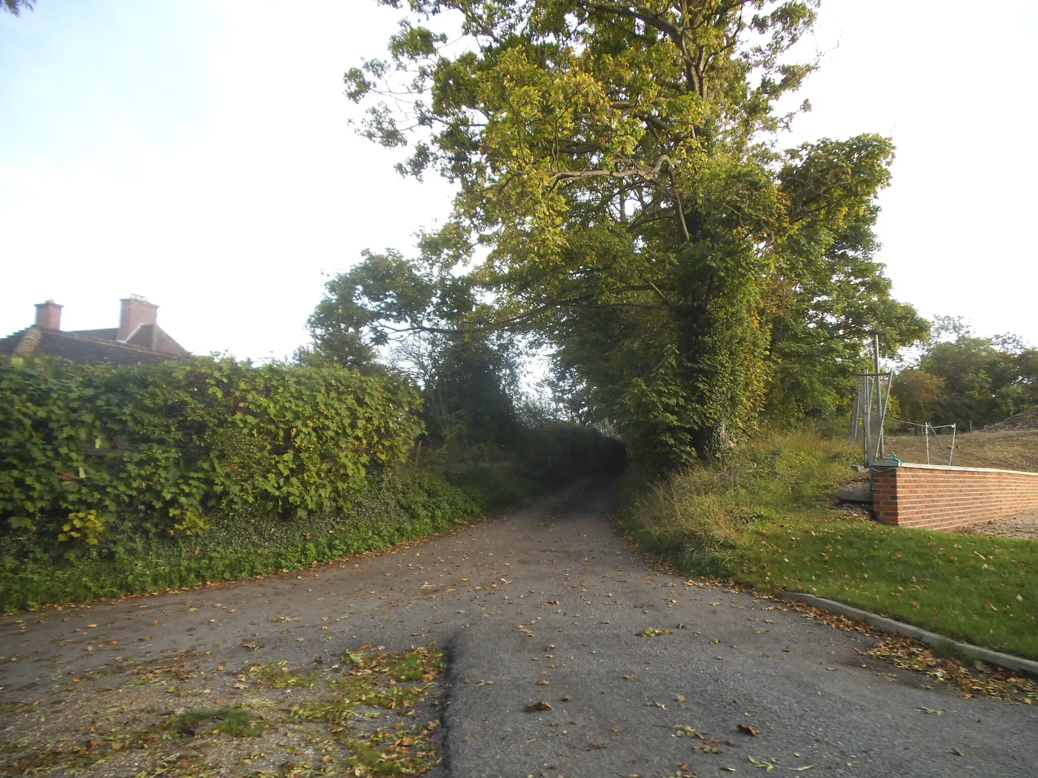 Photo showing: Path off Ashanger Lane, Clothall