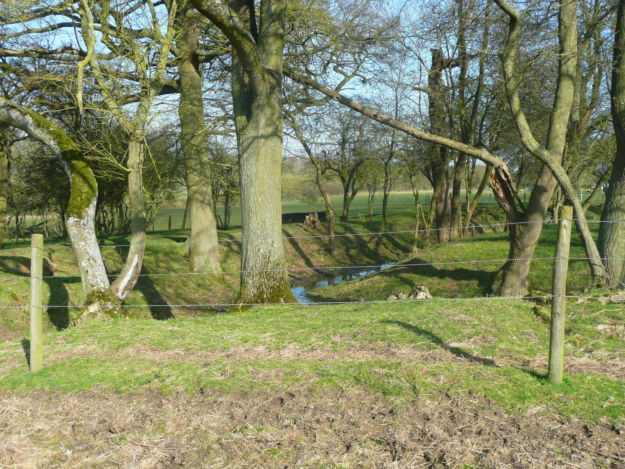 Photo showing: A corner of the moat on Hickman's Hill. Clothall