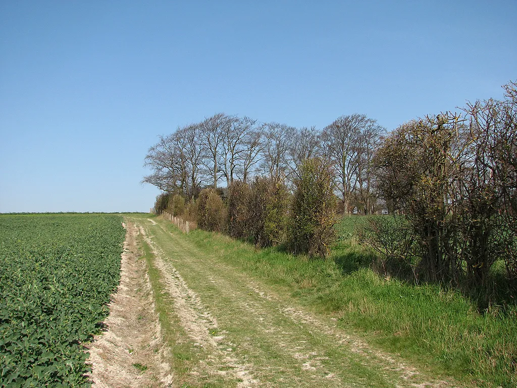 Photo showing: Climbing Rowley's Hill