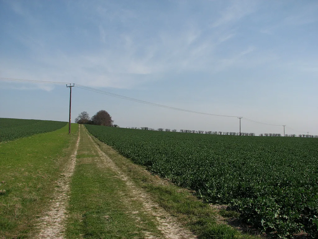 Photo showing: Farm track on Rowley's Hill