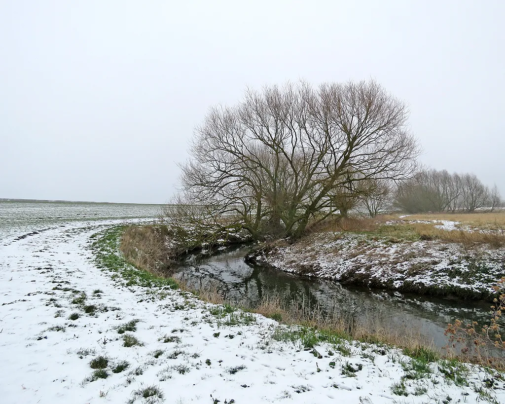 Photo showing: A bend in the Cam near Haslingfield