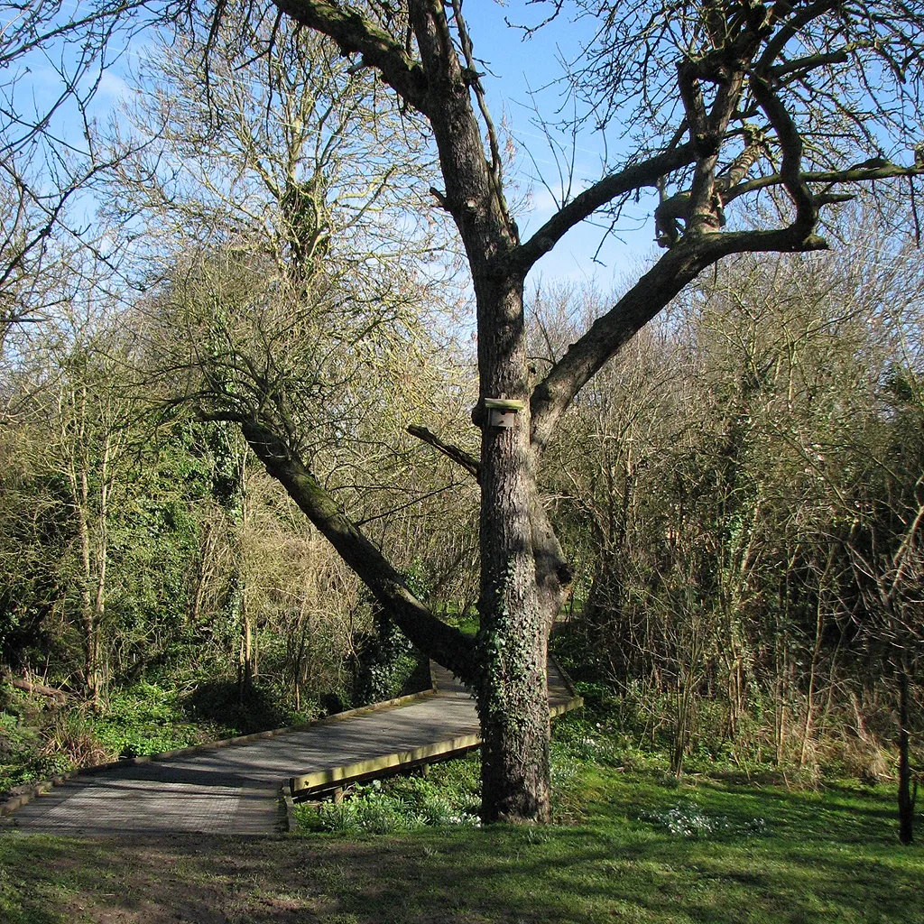 Photo showing: Orwell: in Chapel Orchard