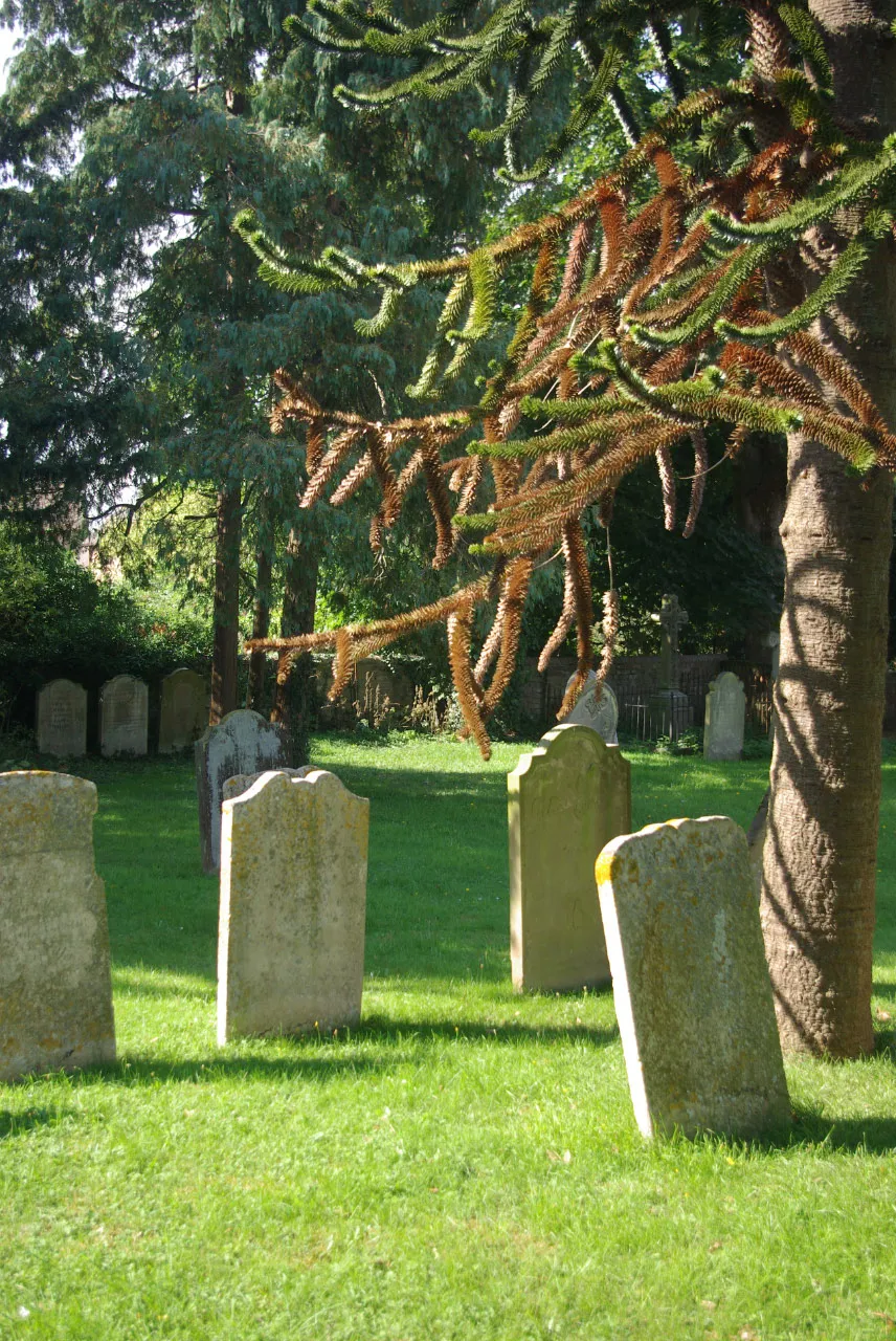 Photo showing: Hail Weston Churchyard