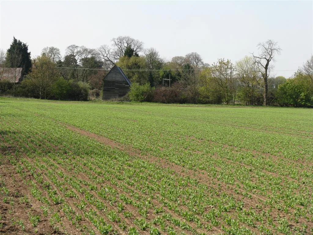 Photo showing: Lower Farm, Little Barford