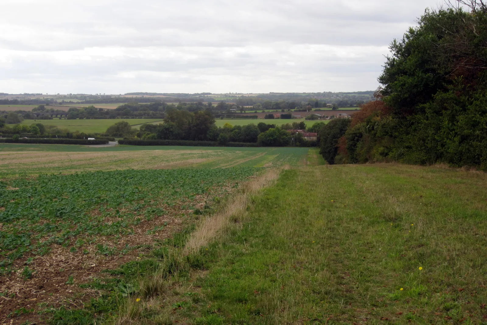 Photo showing: Bridleway to the Bedford Road by the Long Spinney