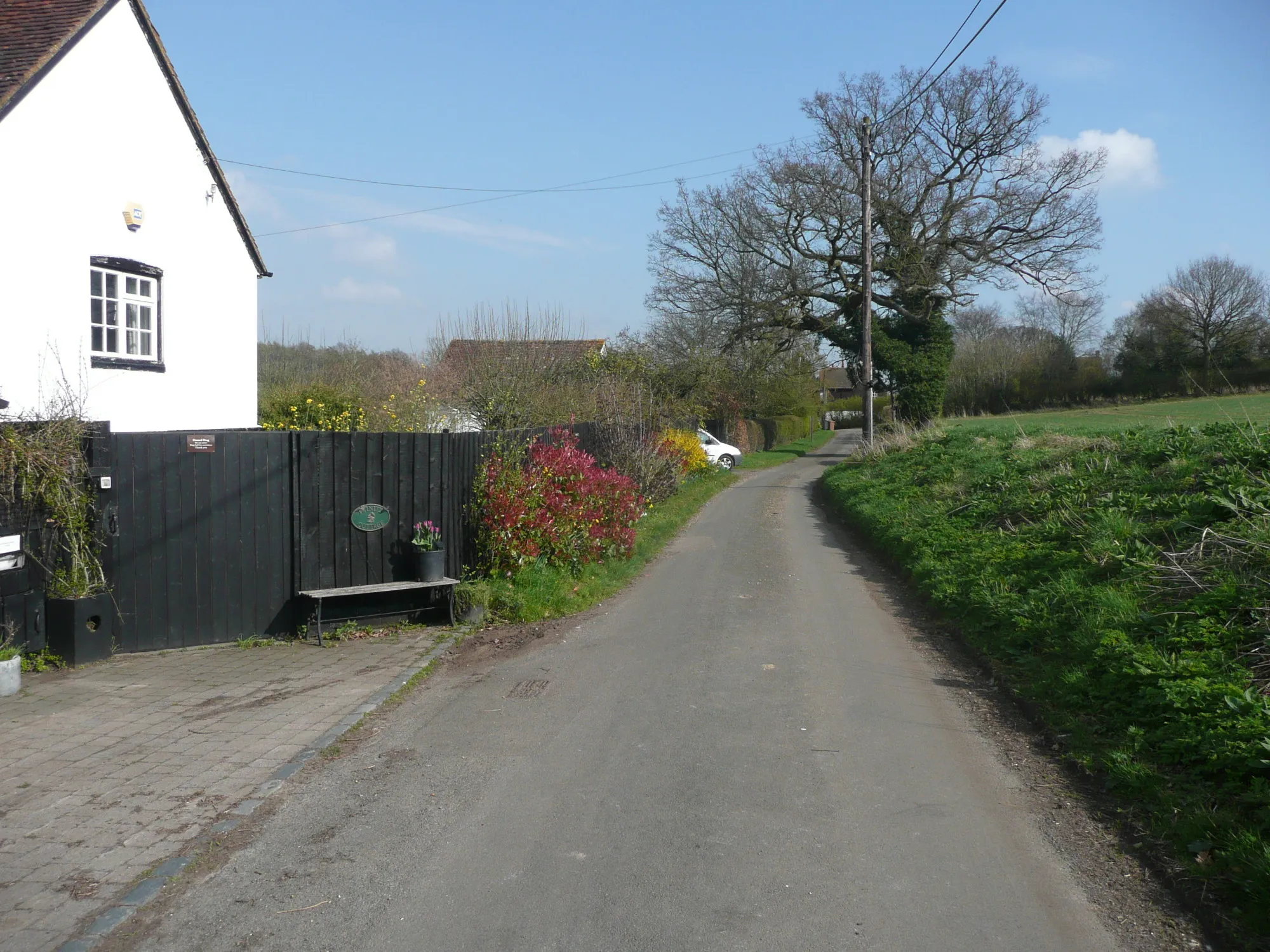 Photo showing: Lane to Ley Green, Kings Walden
