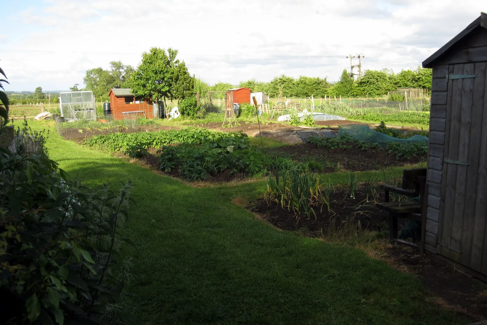 Photo showing: Aston Abbots Allotments