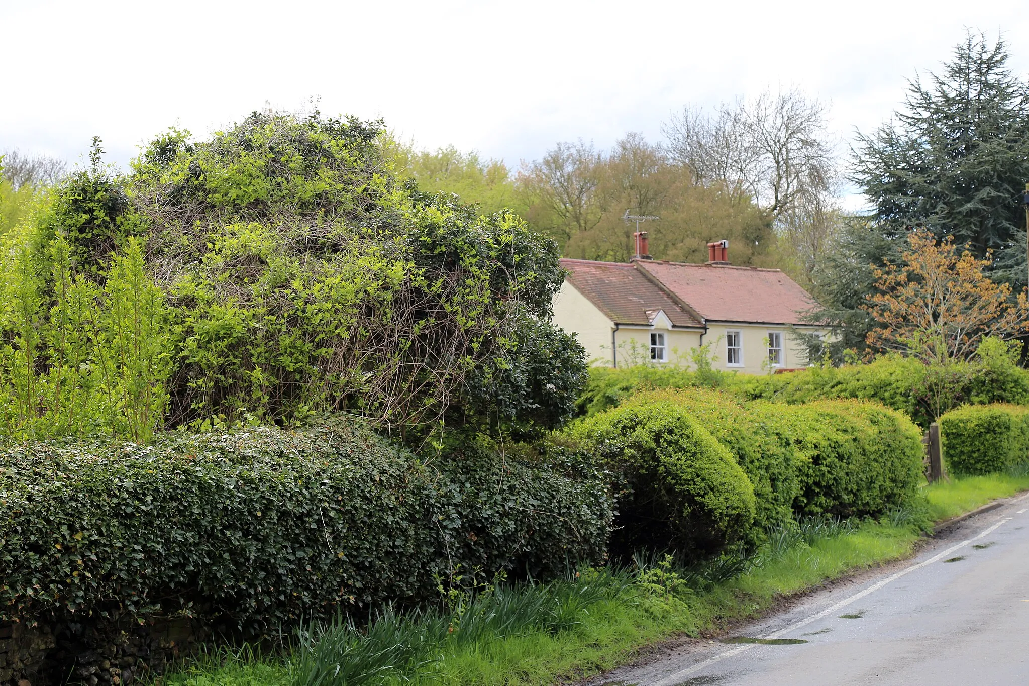 Photo showing: A road to Harlow with cottage at Matching Tye, Essex, England