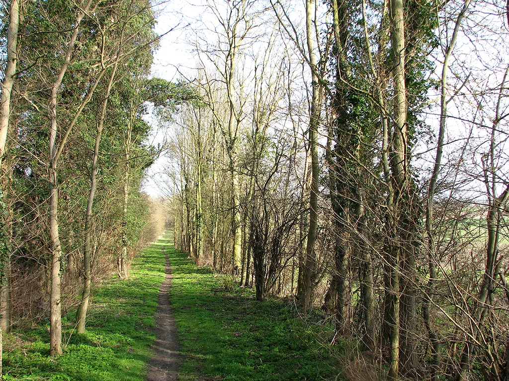 Photo showing: Armshold Lane: towards Toft