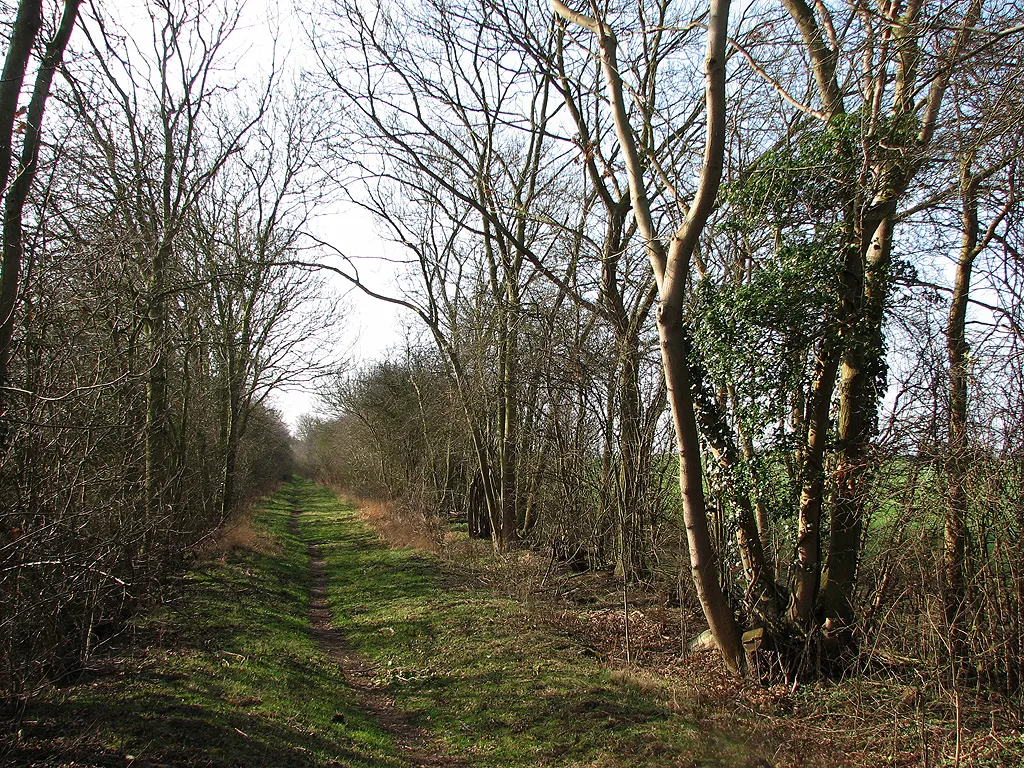 Photo showing: Armshold Lane
