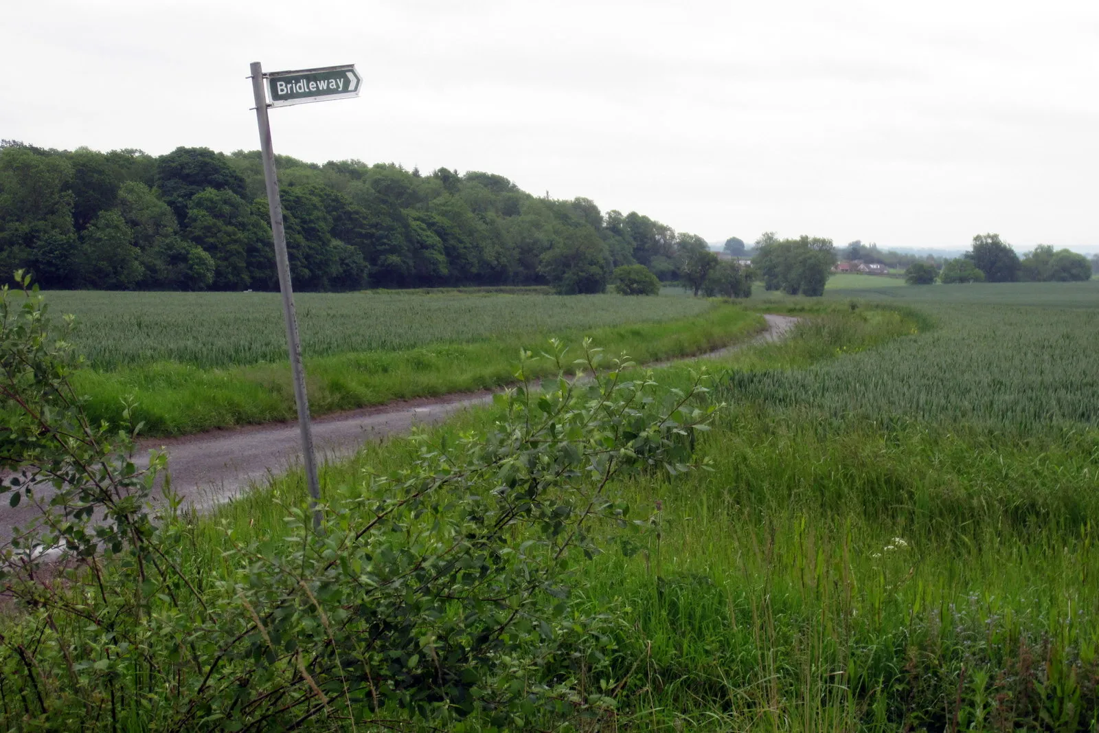 Photo showing: Bridleway from the Wicken road