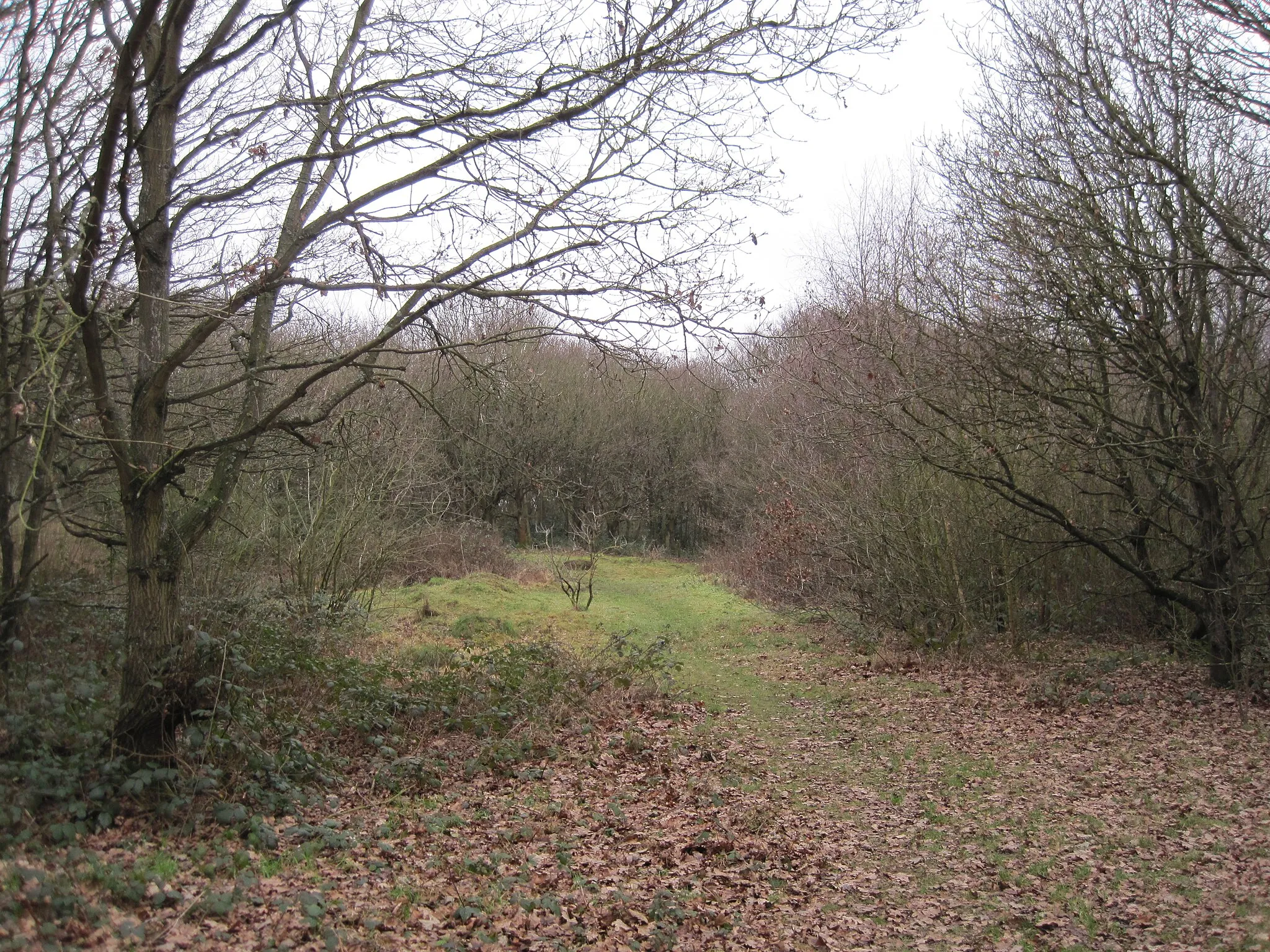 Photo showing: Fryent Country Park, Brent, London