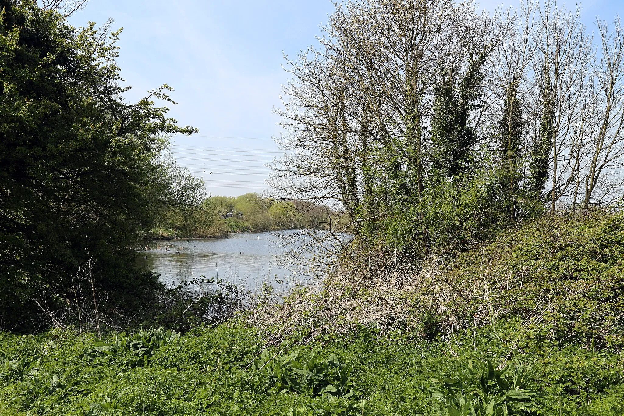 Photo showing: Across Hooks Marsh Lake looking west at Fishers Green, Lee Valley, Waltham Abbey, Essex, England