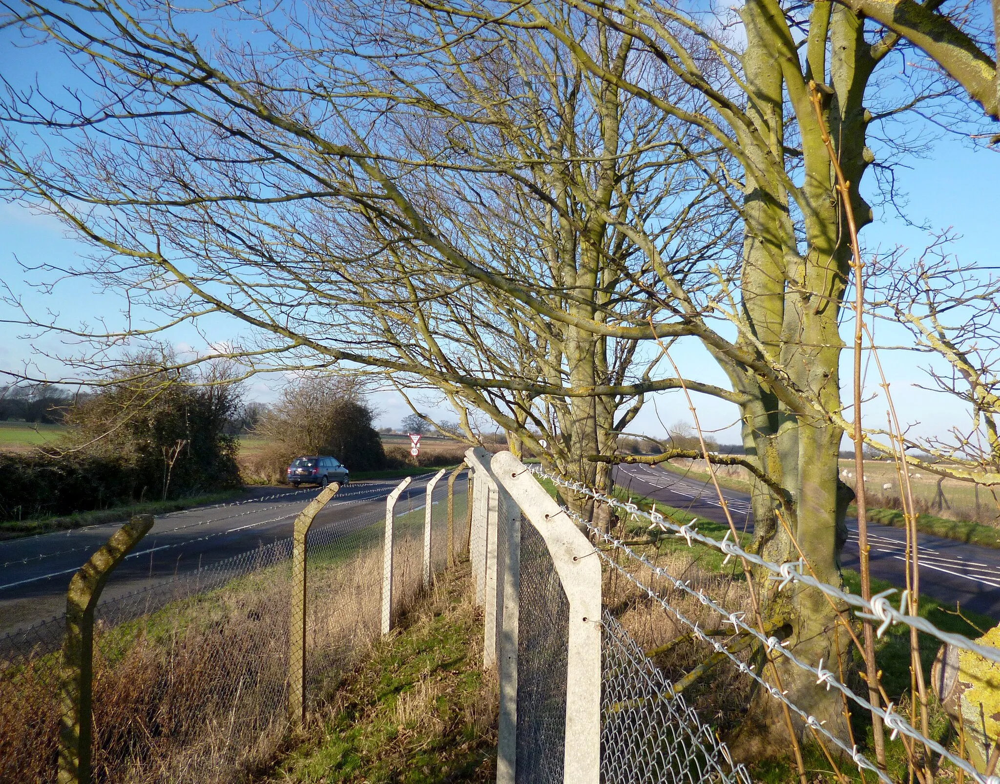 Photo showing: A Very Pointed Field