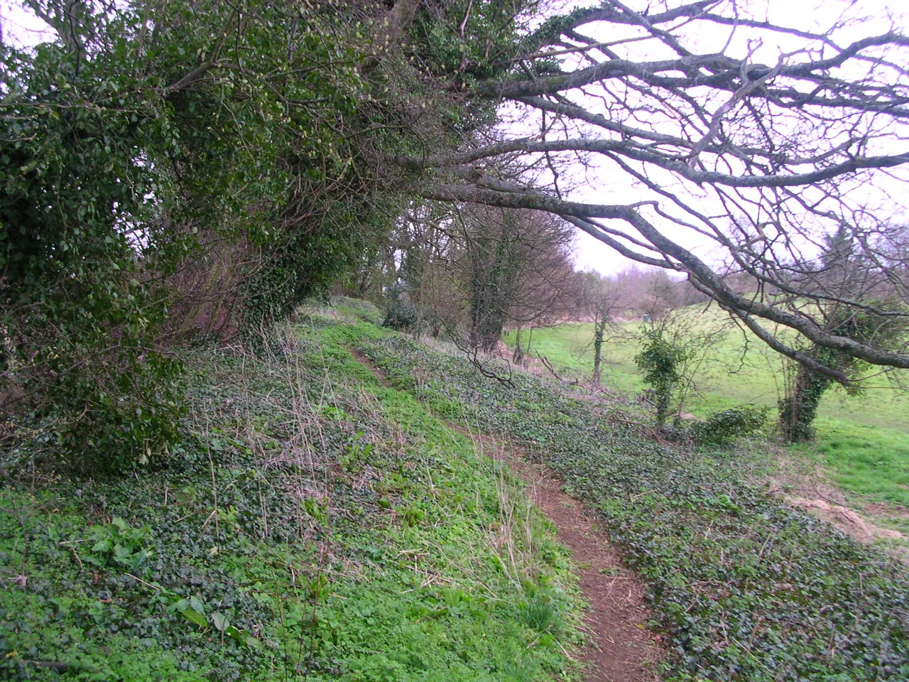 Photo showing: Part of an earthwork of Deddington Castle, Oxfordshire, England