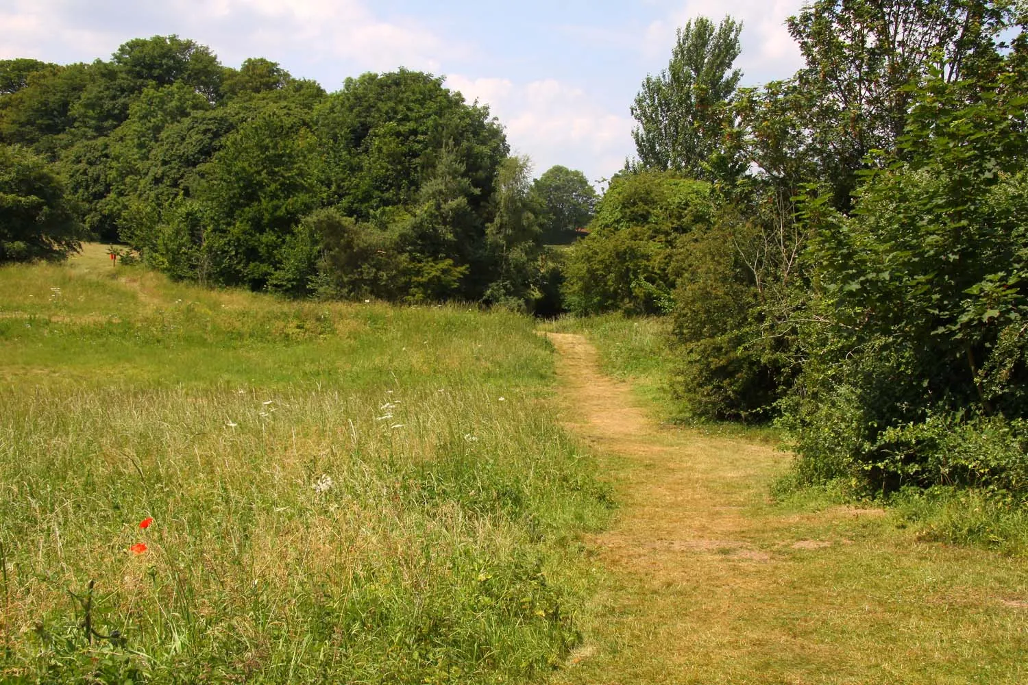 Photo showing: Pathway across Deddington Castle