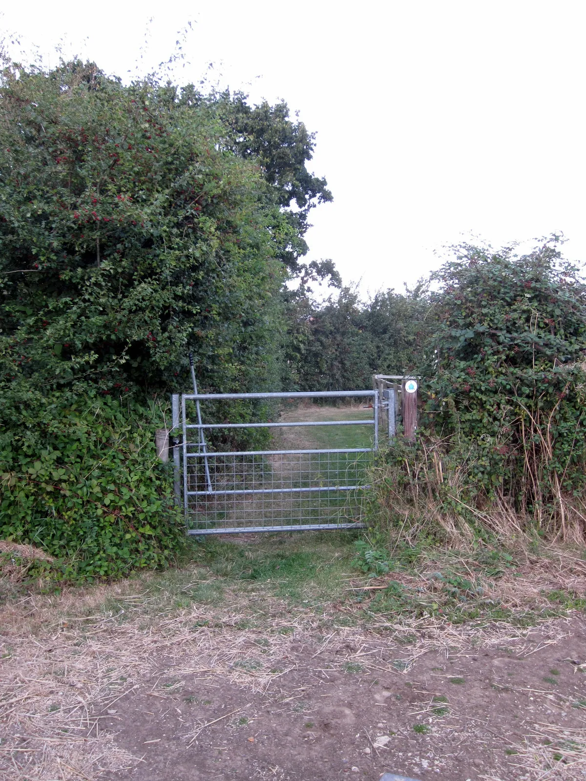 Photo showing: Bridleway to the B526