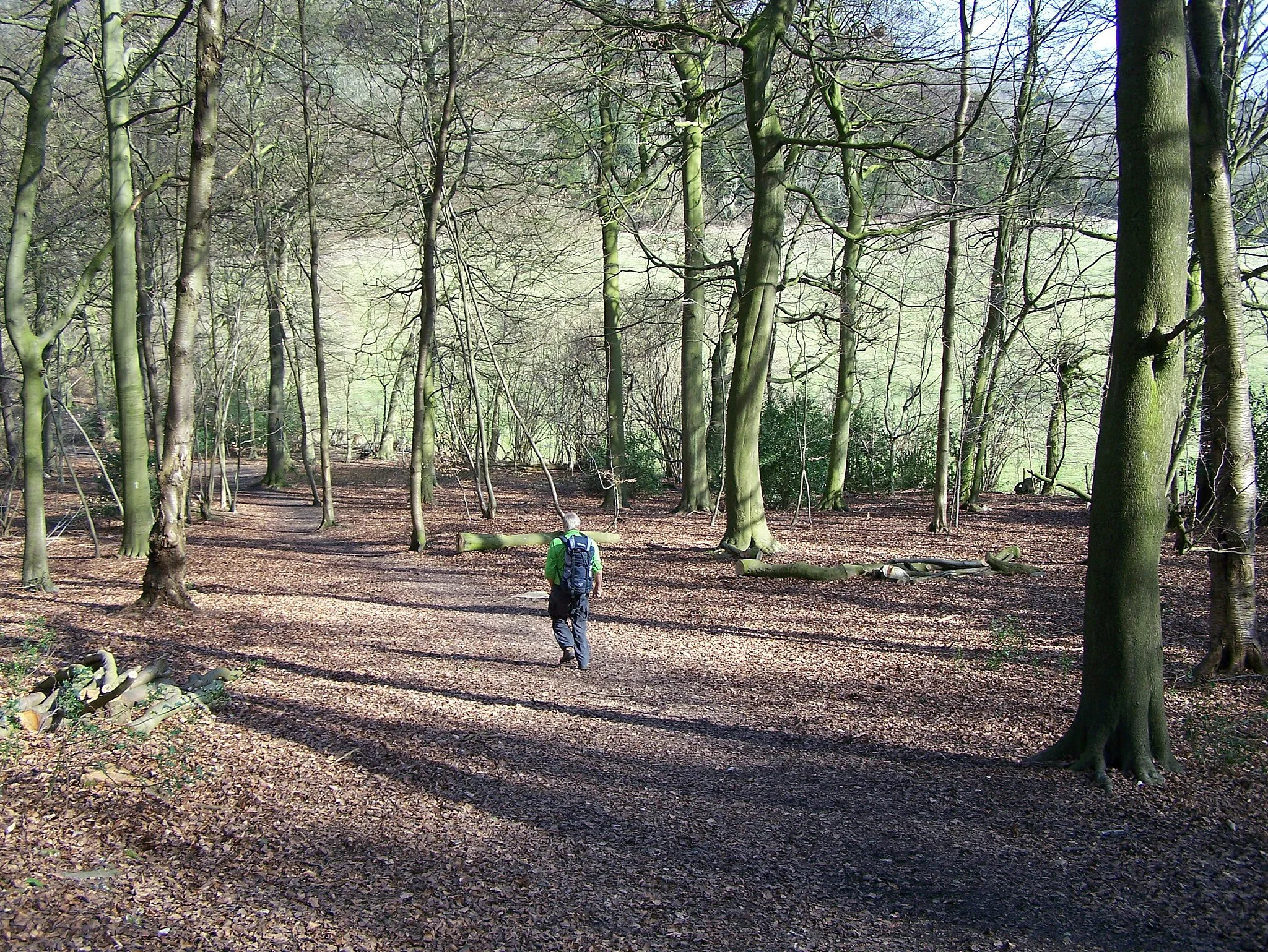 Photo showing: Common Wood, Hughenden Valley