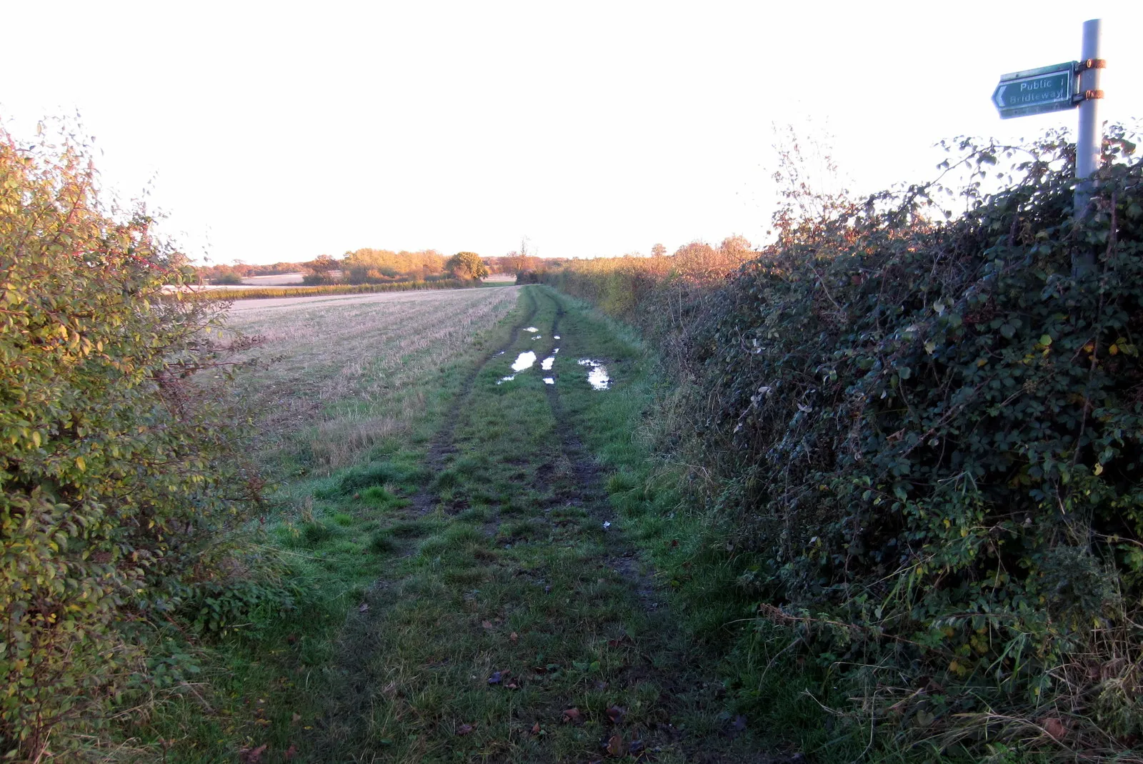 Photo showing: Bridleway toward Clifton Spinney