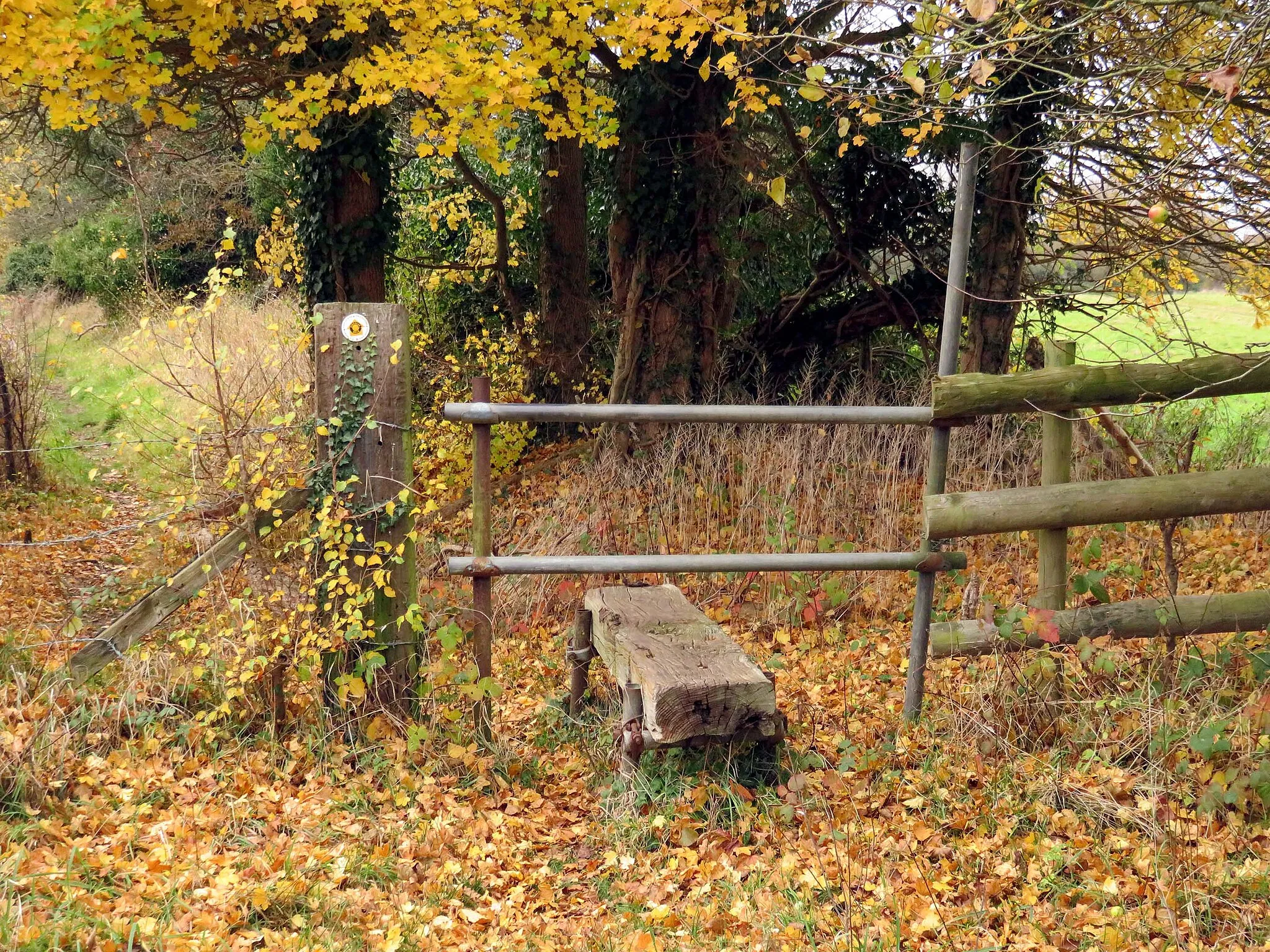 Photo showing: A stile on a footpath