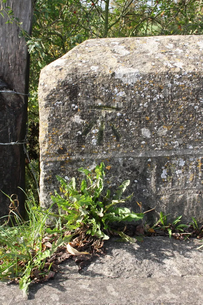 Photo showing: Benchmark on parapet of Whirlpool Arch