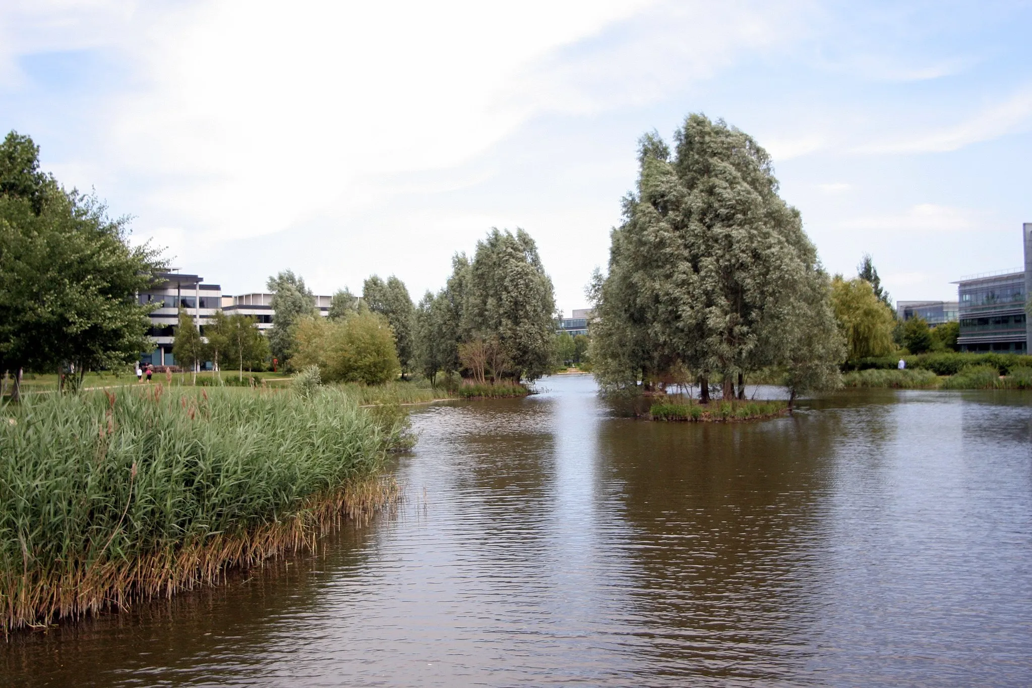 Photo showing: Stuff at Green park lake, Cisco Reading.