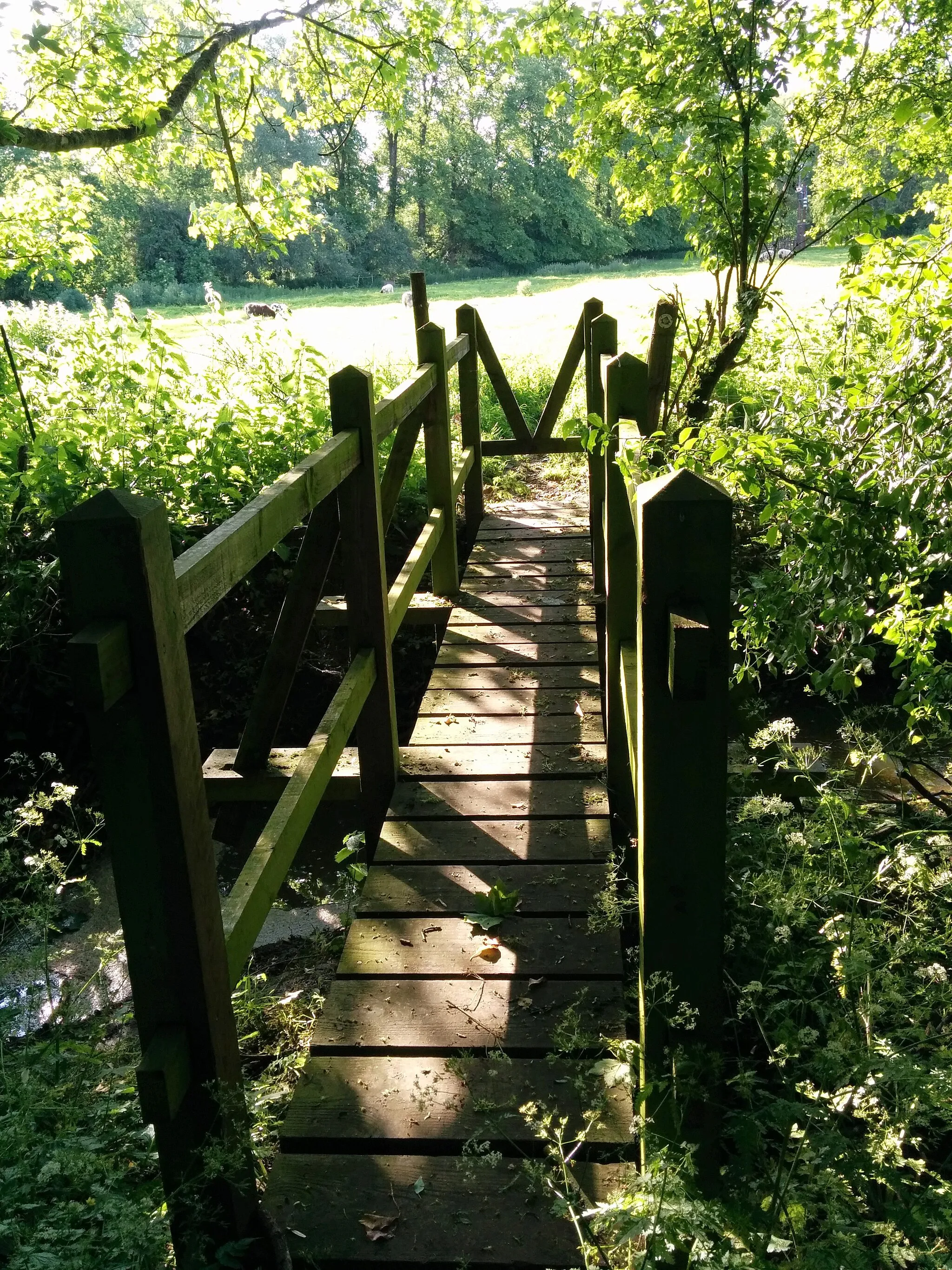 Photo showing: Charwelton JW foot bridge 1