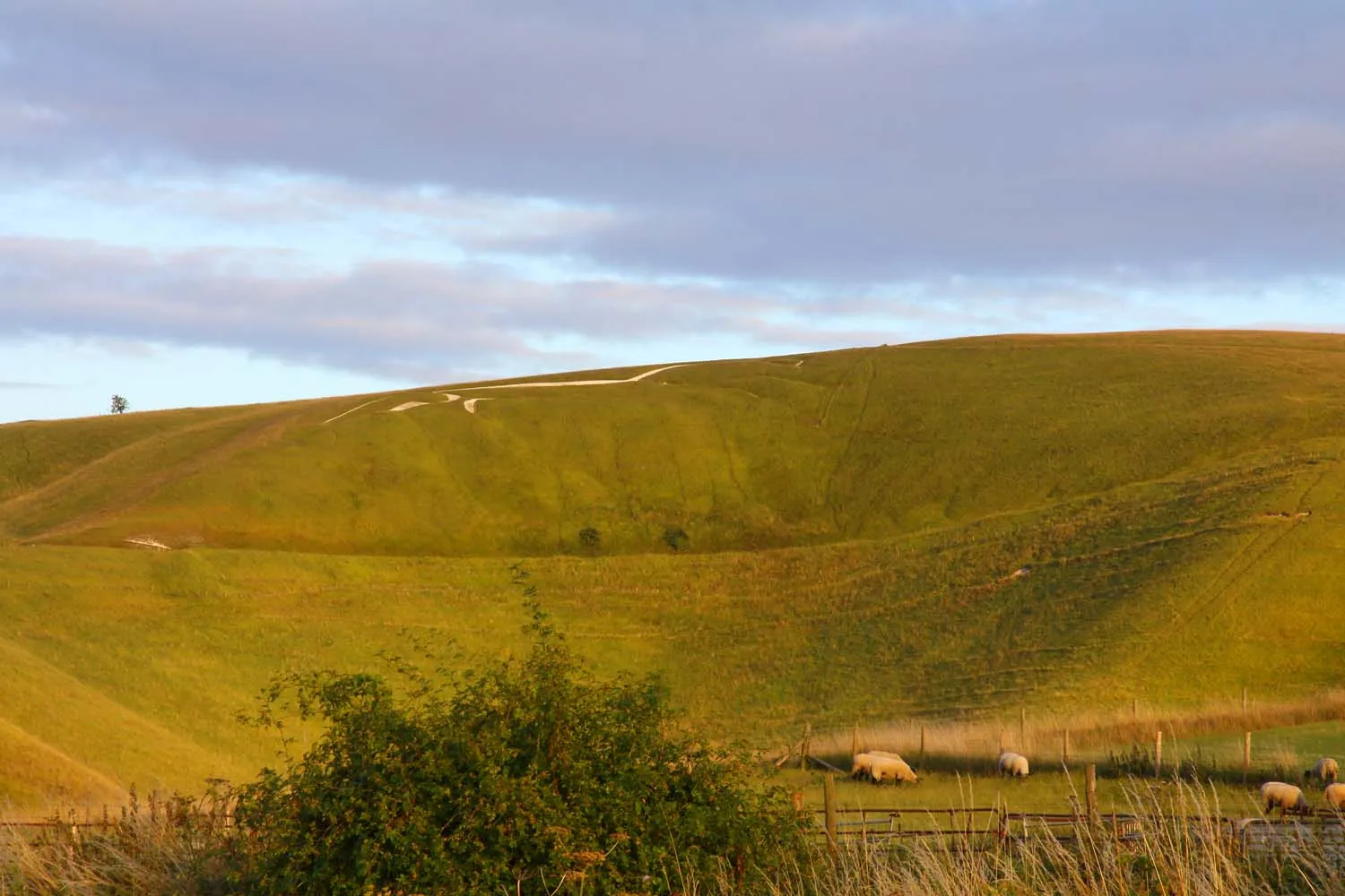 Photo showing: White Horse, Whitehorse Hill