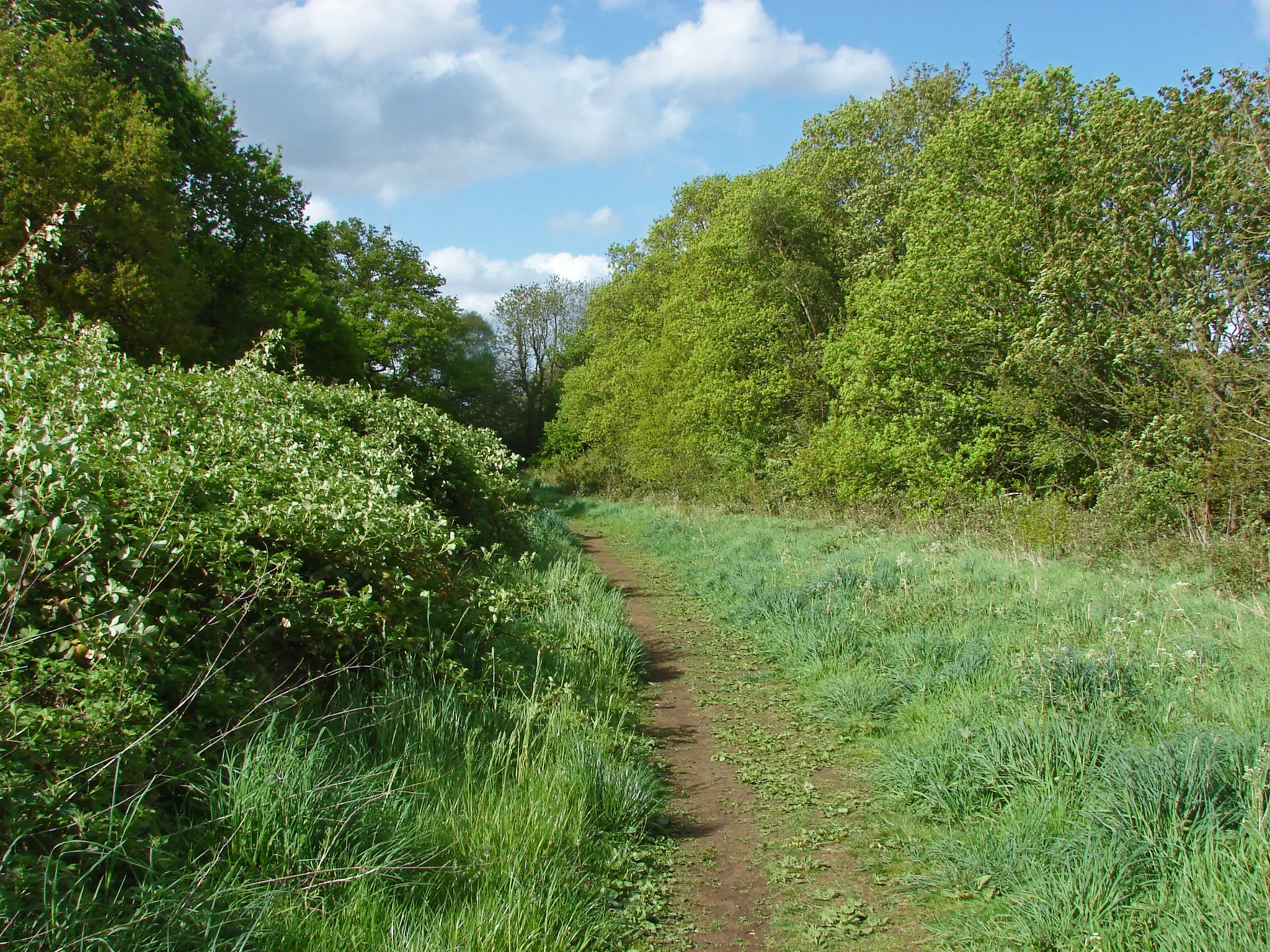 Photo showing: Access land, Chobham