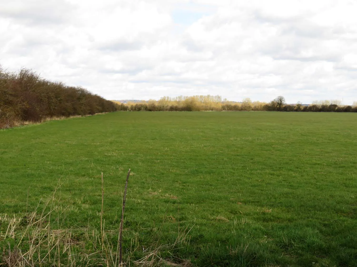 Photo showing: An arable field near Landmead Farm