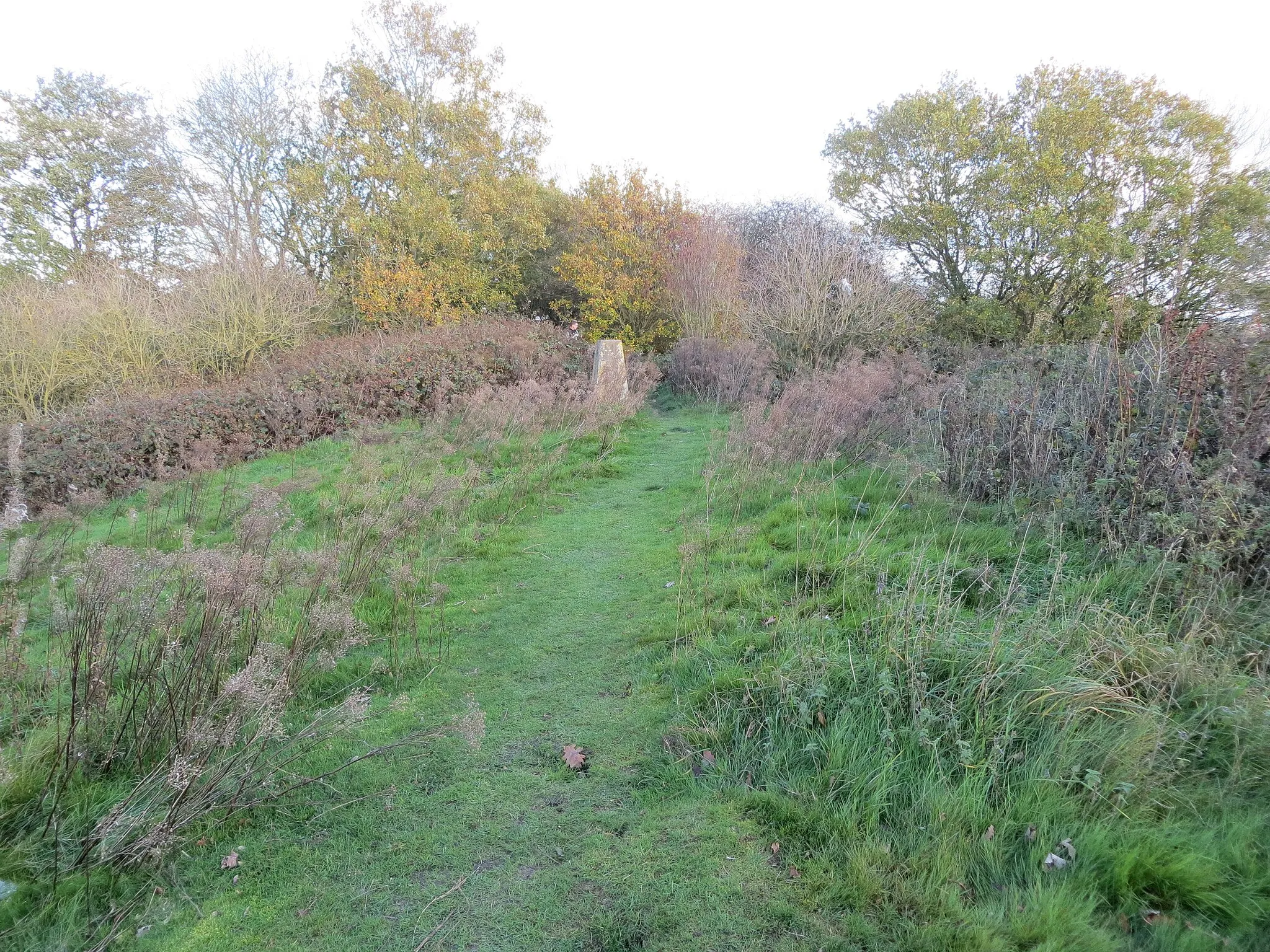 Photo showing: Path, Woodland and Triangulation Pillar on top of Crouch Hill