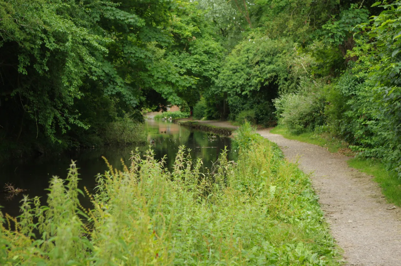 Photo showing: The Wendover Arm