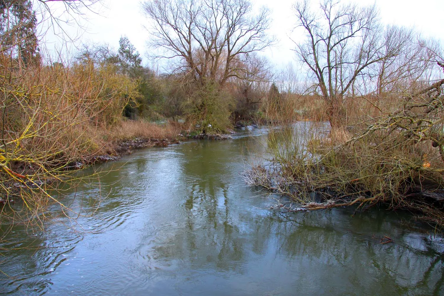 Photo showing: The River Thame at Brookhampton