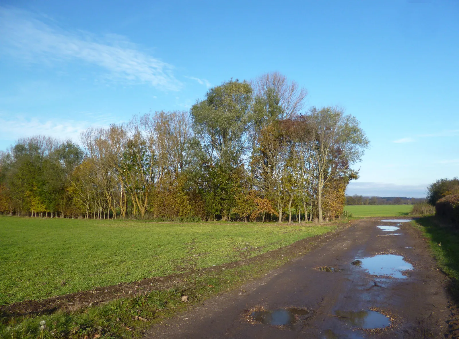 Photo showing: Farm Track, Sonning Eye