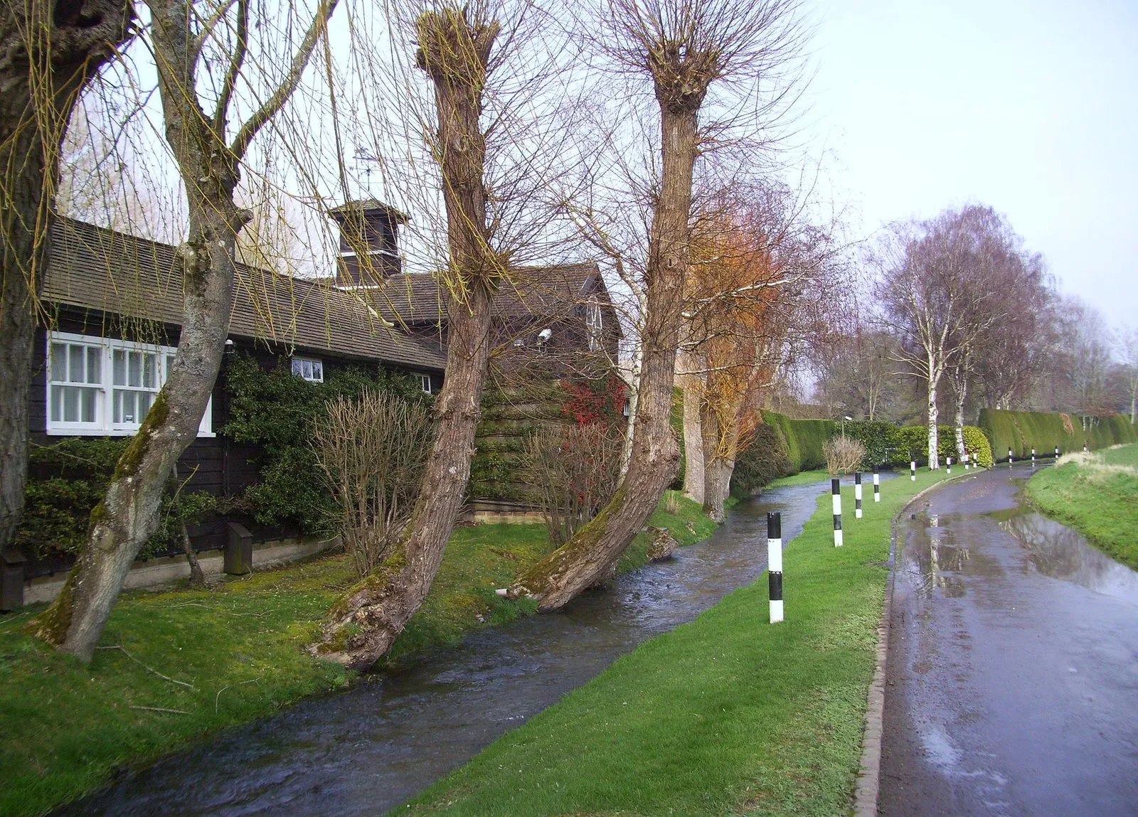 Photo showing: Beside the Stream