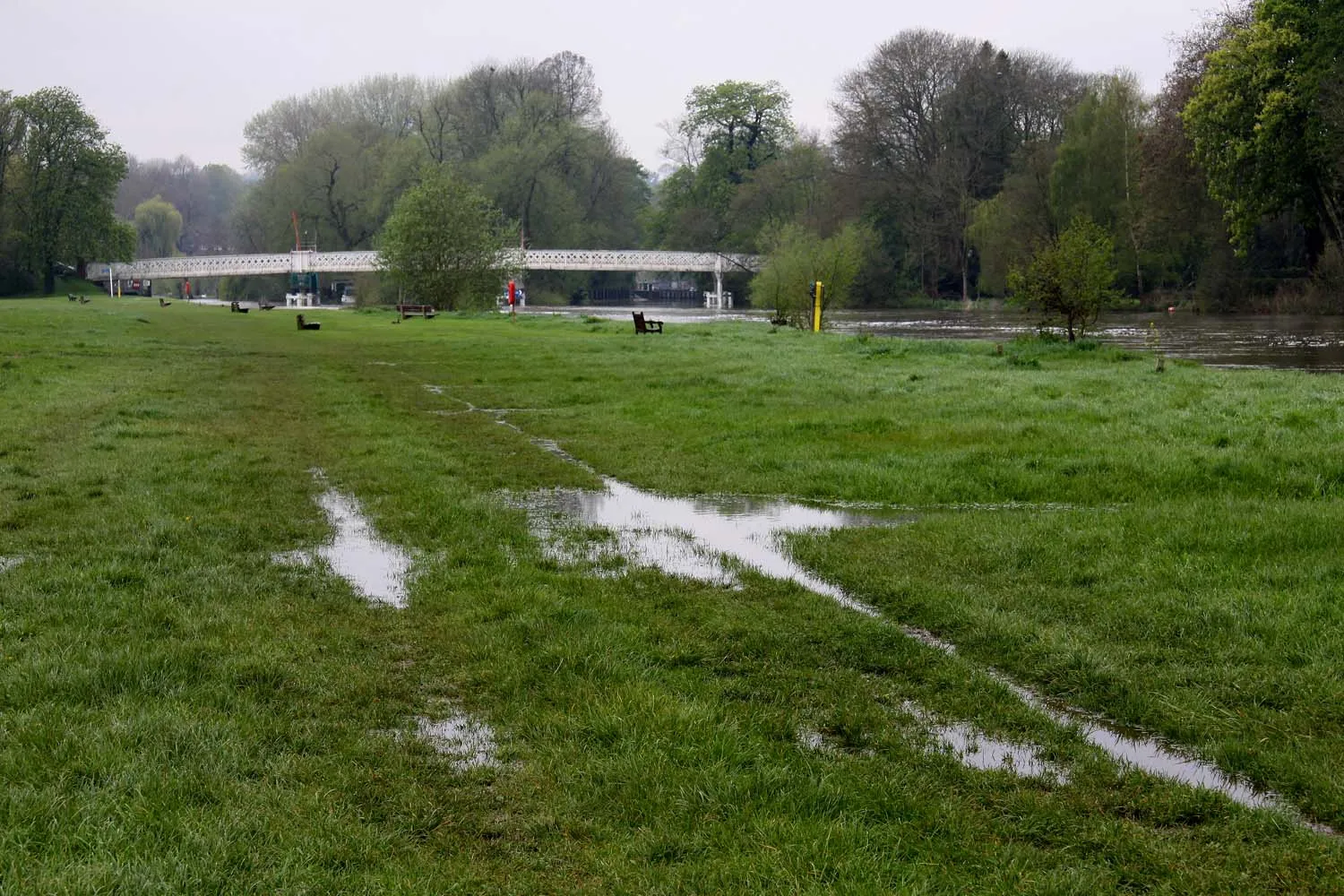 Photo showing: A sodden Thames Path