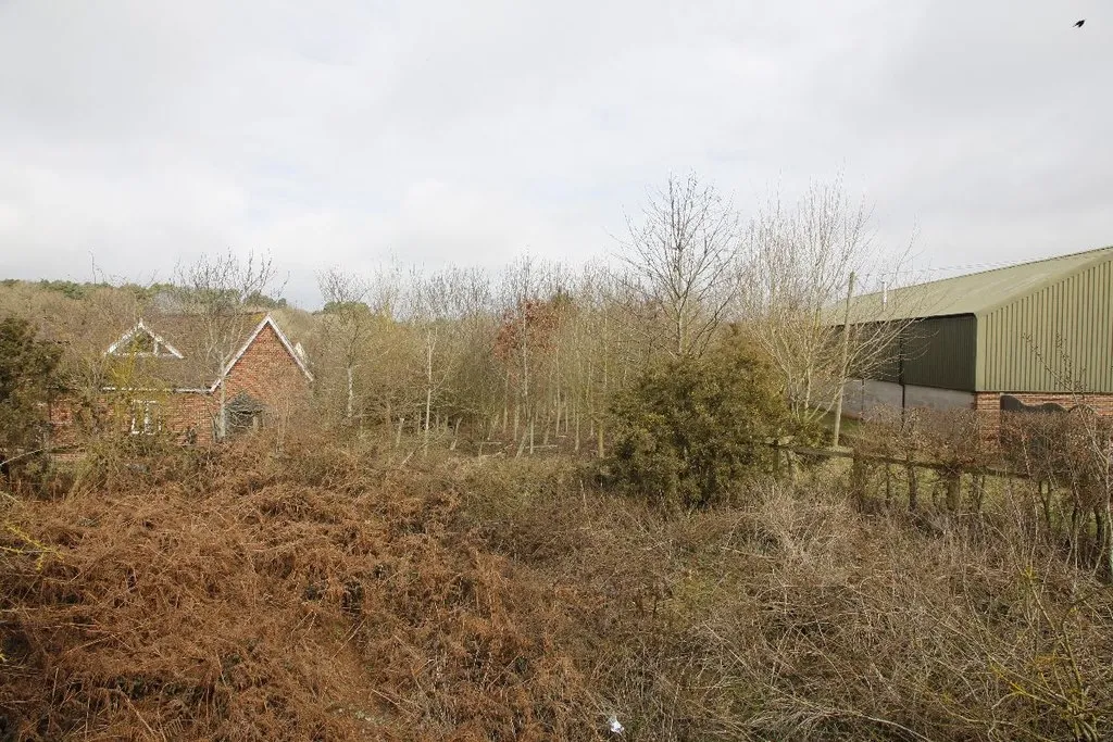 Photo showing: Looking past the mill